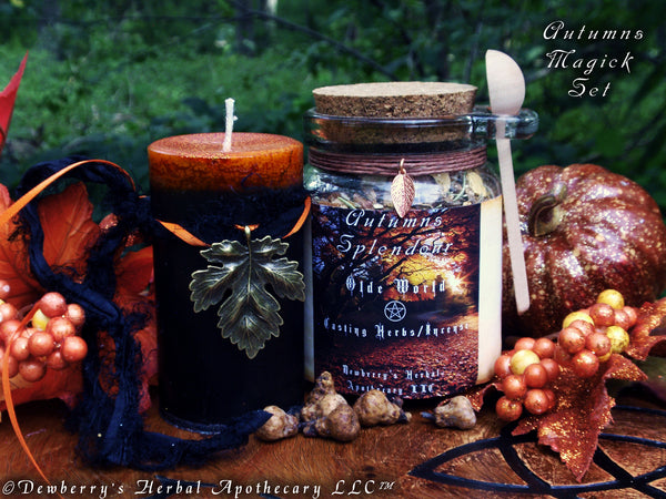 AUTUMN MAGICK SET w/Dark Autumn Magick Candle, 8.5oz Jar Of Autumn Splendour Casting Herb Witch Mix