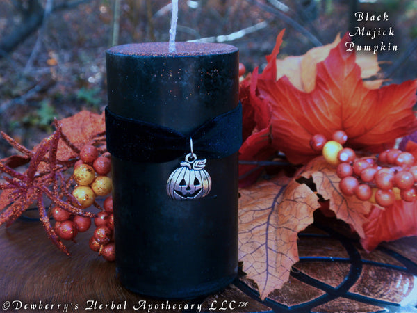 BLACK MAJICK PUMPKIN Imbued w/Saturn Herbs & Oils For Dark Moon Rites, Witchcraeft, Spellcraft
